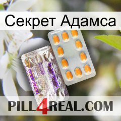 Секрет Адамса new12